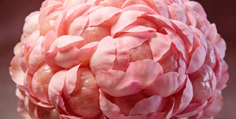 黔西南BRCA1/2乳腺癌卵巢癌基因检测图片1